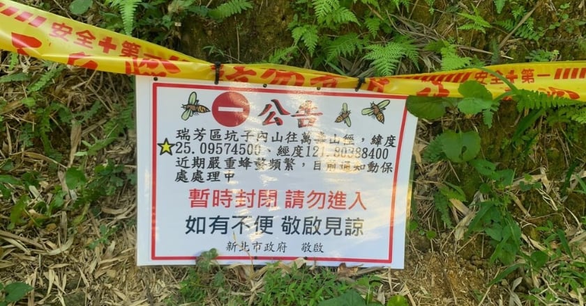 新北瑞芳山區虎頭蜂螫遊客 公所封閉步道6入口