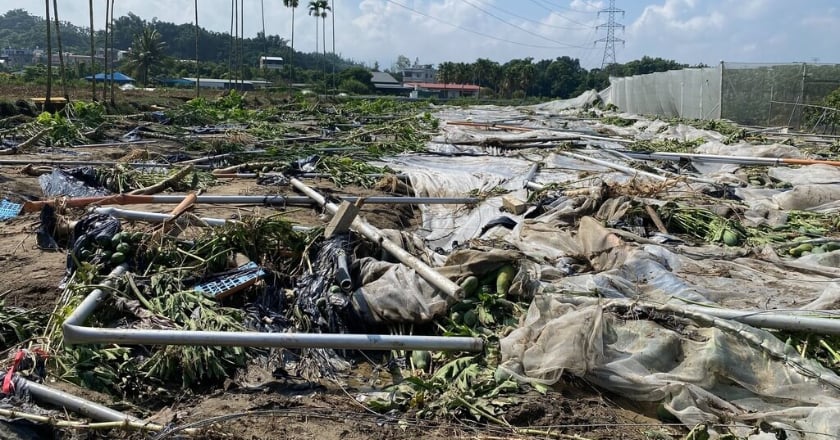 嘉縣水上中埔豪雨農損 受理災害現金救助申請