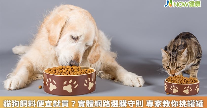 貓狗飼料便宜就買？實體網路選購守則 專家教你挑罐罐