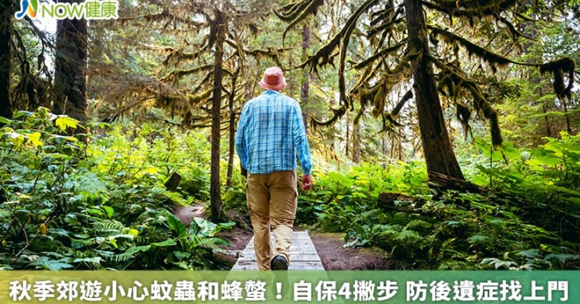 秋季郊遊小心蚊蟲和蜂螫!自保4撇步 防後遺症找上門
