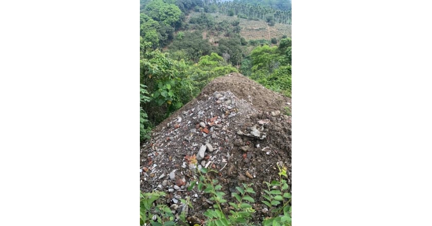 南投遭譏廢土天堂 許淑華要求加強巡查全力防堵