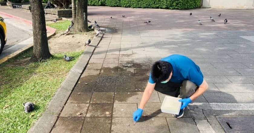 北市採檢禽鳥熱點 未驗出高病原性禽流感病毒