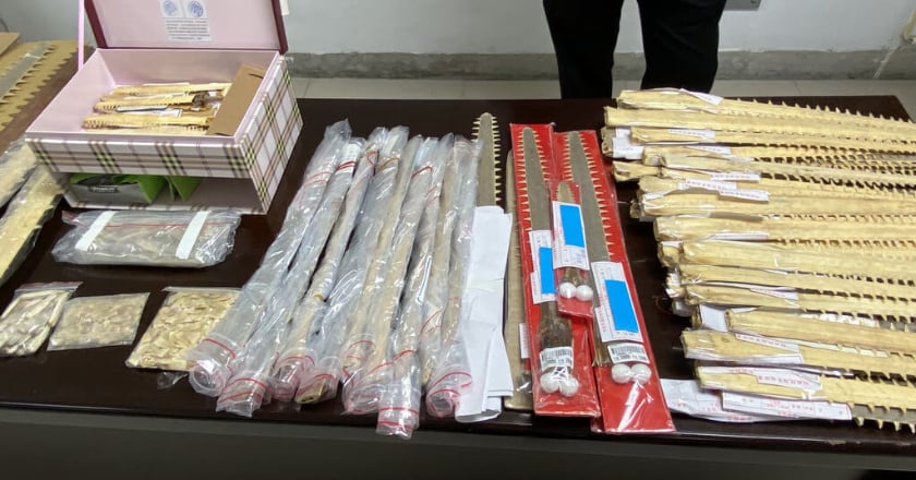 「鯊魚劍」為保育類動物製品 海保署提醒禁買賣