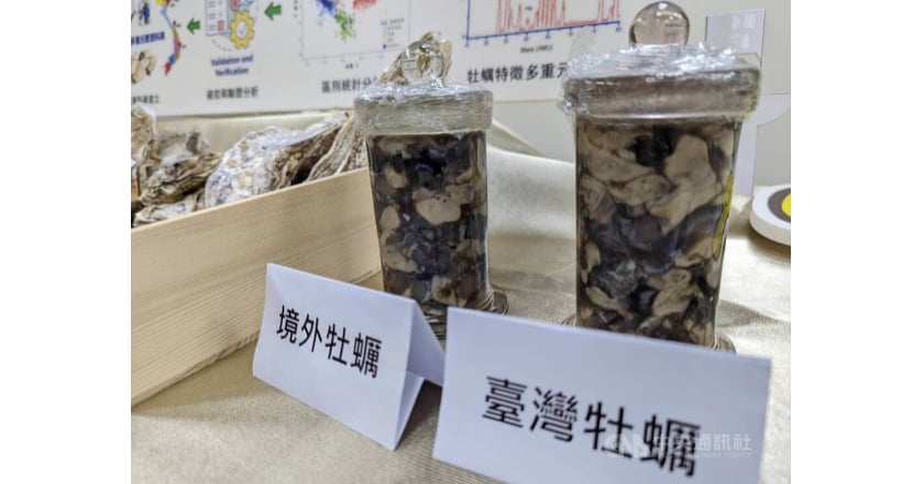 水試所研發牡蠣鑑識技術 辨別國產蚵與境外蚵