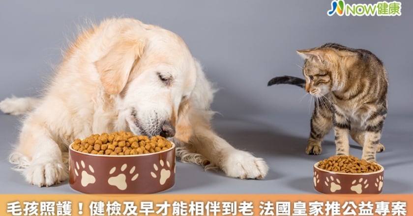 毛孩照護!健檢及早才能相伴到老 法國皇家推公益專案