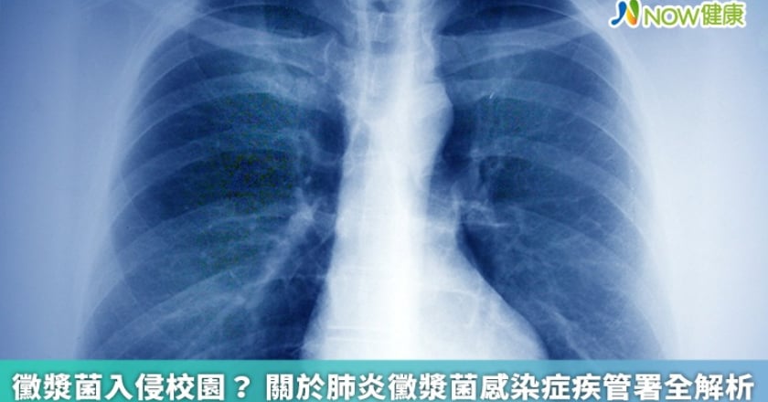 黴漿菌入侵校園? 關於肺炎黴漿菌感染症疾管署全解析
