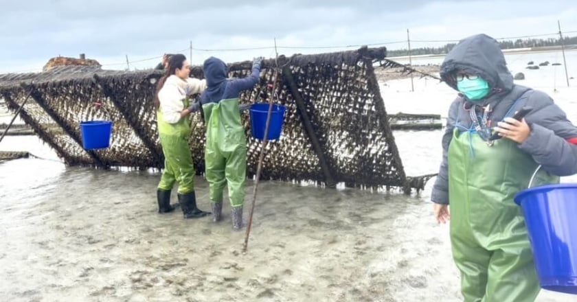 秋冬旅遊新玩意 澎湖推「雙金」體驗感受人文魅力
