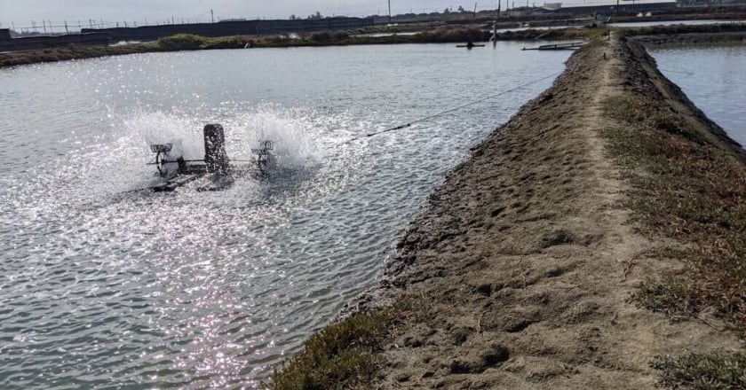 冷氣團來襲 籲農友、養殖業者做好防寒措施