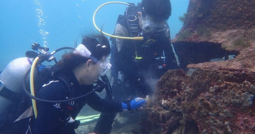 綠島海岸不明重油污染 監獄收容人支援清理