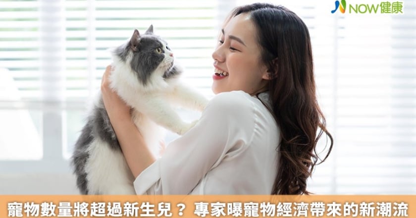 寵物數量將超過新生兒? 專家曝寵物經濟帶來的新潮流