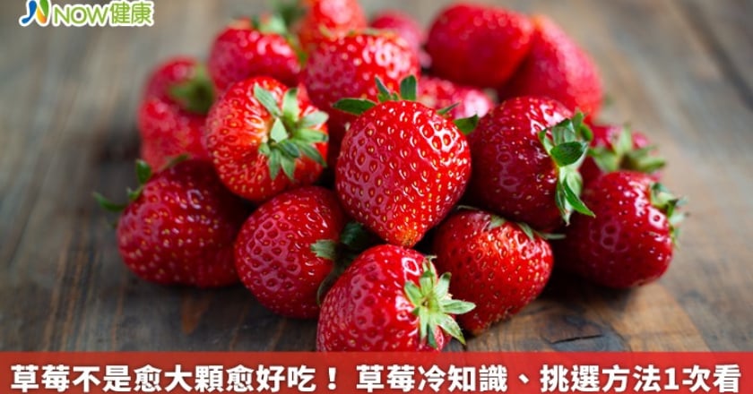 草莓不是愈大顆愈好吃! 草莓冷知識、挑選方法1次看