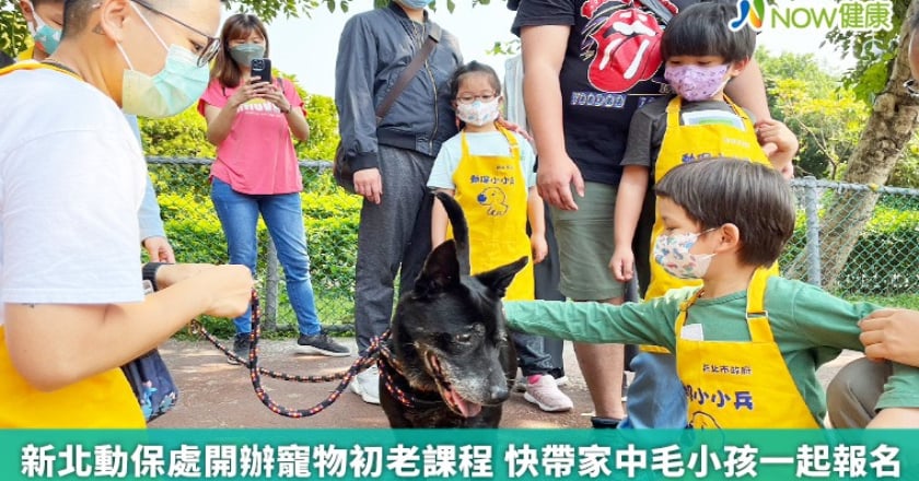 新北動保處開辦寵物初老課程 快帶家中毛小孩一起報名