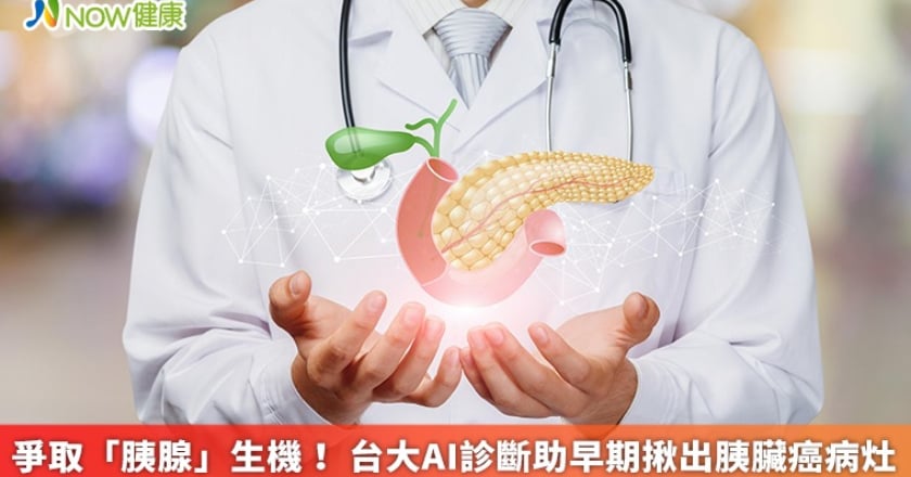 爭取「胰腺」生機! 台大AI診斷助早期揪出胰臟癌病灶