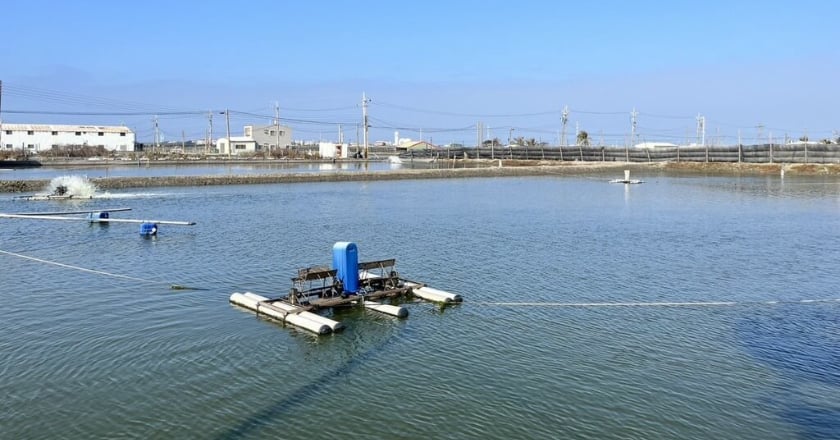 春節連假冷氣團來襲 高市府籲漁民注意防寒保暖