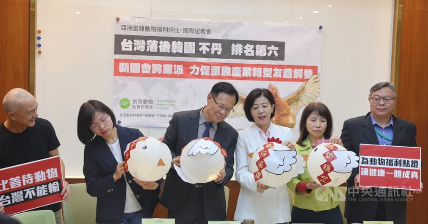 蛋雞非籠飼評比台灣落後韓國 朝野立委籲政府改善