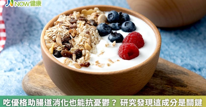 吃優格助腸道消化也能抗憂鬱? 研究發現這成分是關鍵