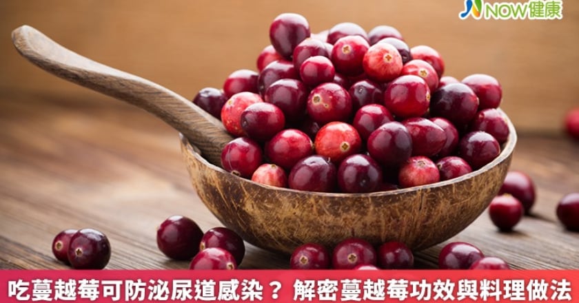 吃蔓越莓可防泌尿道感染? 解密蔓越莓功效與料理做法