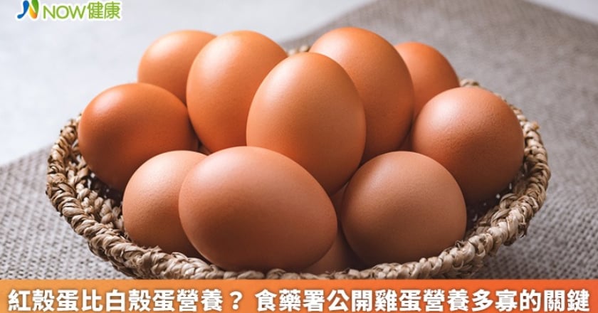 紅殼蛋比白殼蛋營養？ 食藥署公開雞蛋營養多寡的關鍵