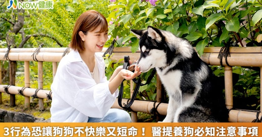 3行為恐讓狗狗不快樂又短命! 醫提養狗必知注意事項