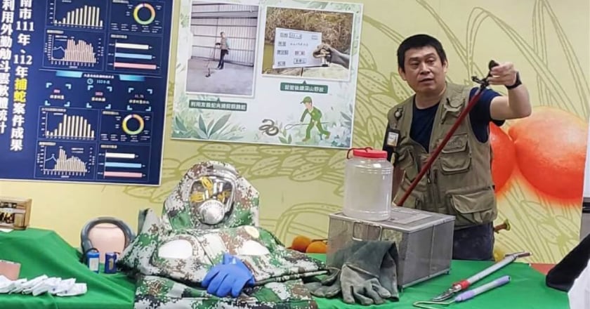 台南蜂蛇棲息環境都市化 市府籲避免衝突速通報