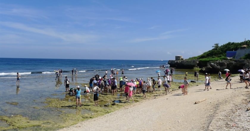小琉球7月起收海洋保育費 肚仔坪等3潮間帶每人60元