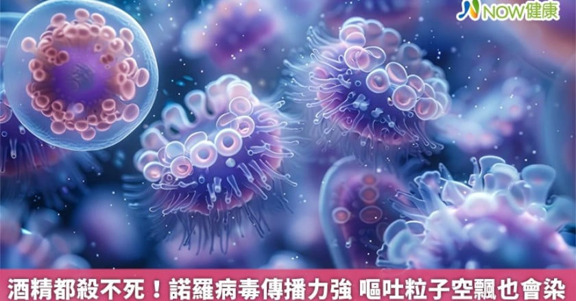 酒精都殺不死！諾羅病毒傳播力強 嘔吐粒子空飄也會染