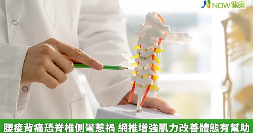 腰痠背痛恐脊椎側彎惹禍 網推增強肌力改善體態有幫助