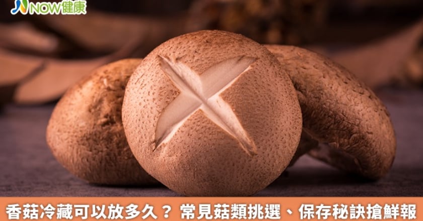 香菇冷藏可以放多久？ 常見菇類挑選、保存秘訣搶鮮報