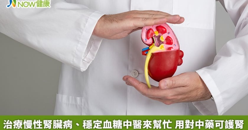治療慢性腎臟病、穩定血糖中醫來幫忙 用對中藥可護腎