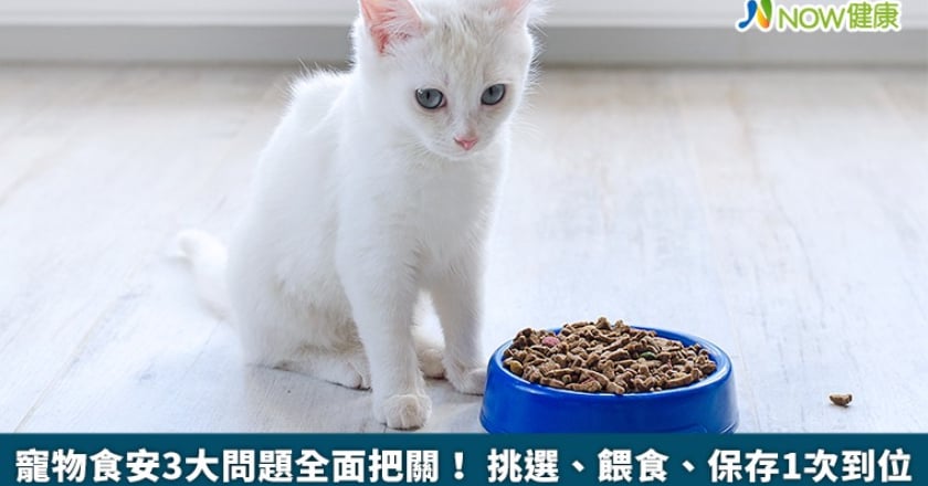 寵物食安3大問題全面把關! 挑選、餵食、保存1次到位