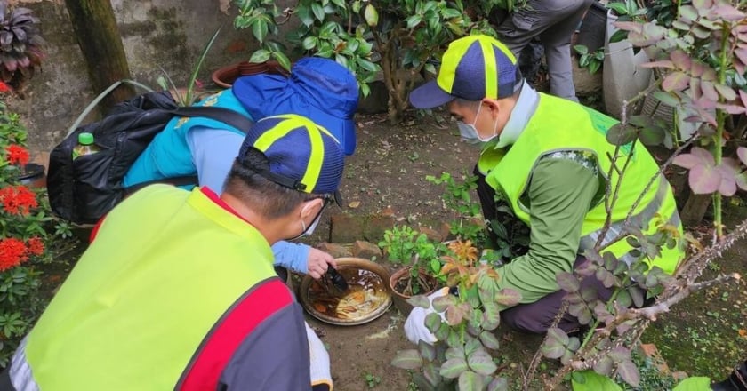 中市累計14例登革熱為東南亞移入 籲加強孳生源清除