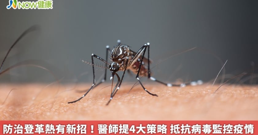 防治登革熱有新招！醫師提4大策略 抵抗病毒監控疫情