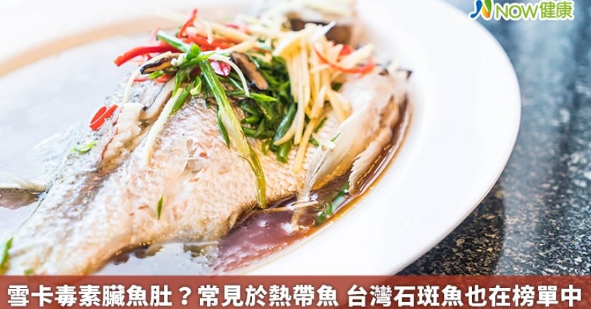 雪卡毒素臟魚肚？常見於熱帶魚 台灣石斑魚也在榜單中