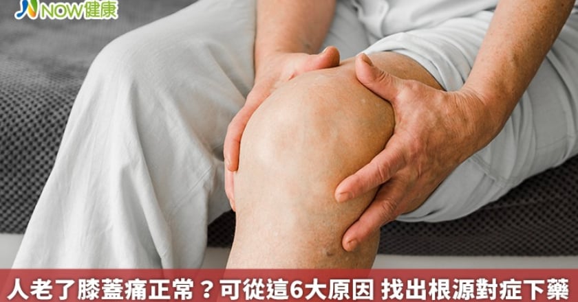 人老了膝蓋痛正常？可從這6大原因 找出根源對症下藥