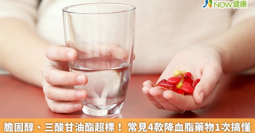 膽固醇、三酸甘油酯超標! 常見4款降血脂藥物1次搞懂