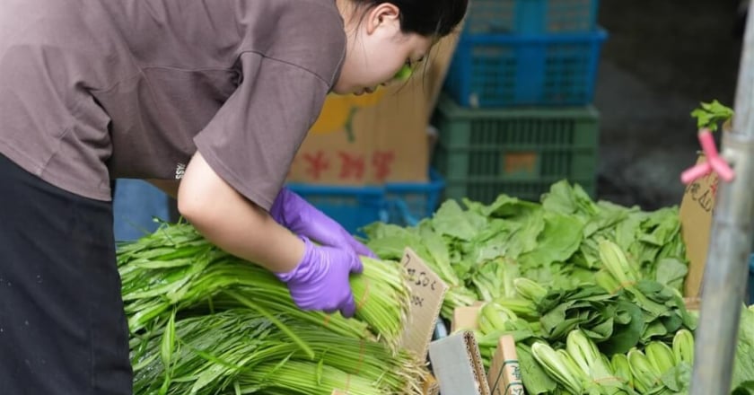 西螺果菜市場到貨量降 全聯、家樂福啟動蔬菜平價措施