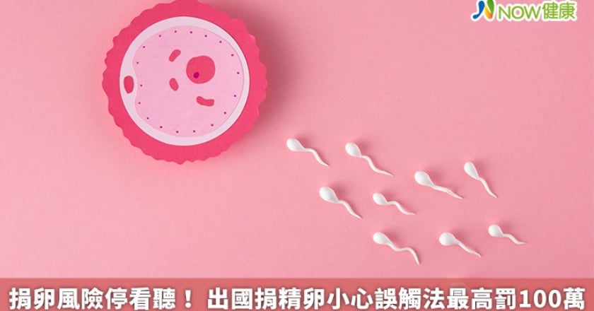 捐卵風險停看聽！ 出國捐精卵小心誤觸法最高罰100萬