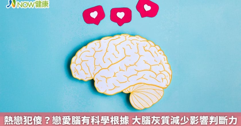 熱戀犯傻？戀愛腦有科學根據 大腦灰質減少影響判斷力