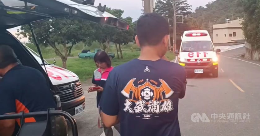 洪偉彥護學生遭蜂螫亡 醫師提醒蜂螫風險與防範措施