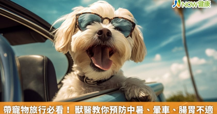 帶寵物旅行必看！ 獸醫教你預防中暑、暈車、腸胃不適