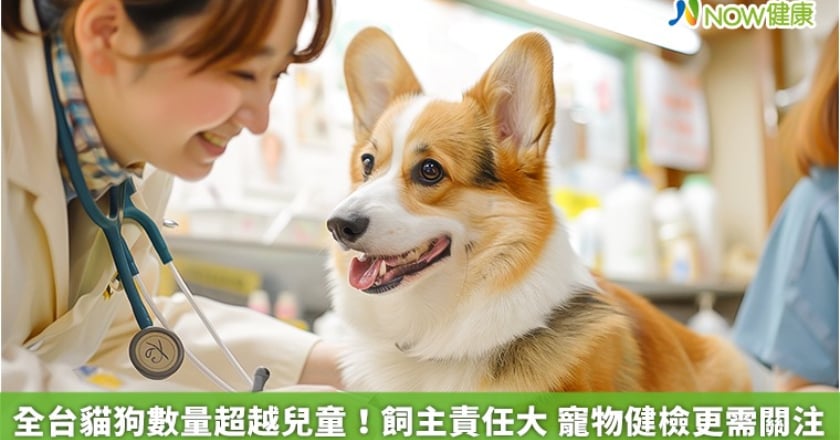 全台貓狗數量超越兒童!飼主責任大 寵物健檢更需關注