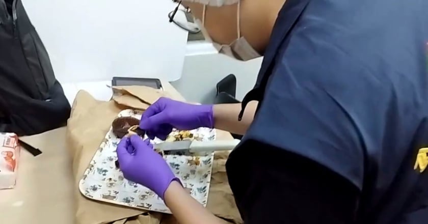 網友稱蛋黃酥有小強 中市府稽查未發現病媒