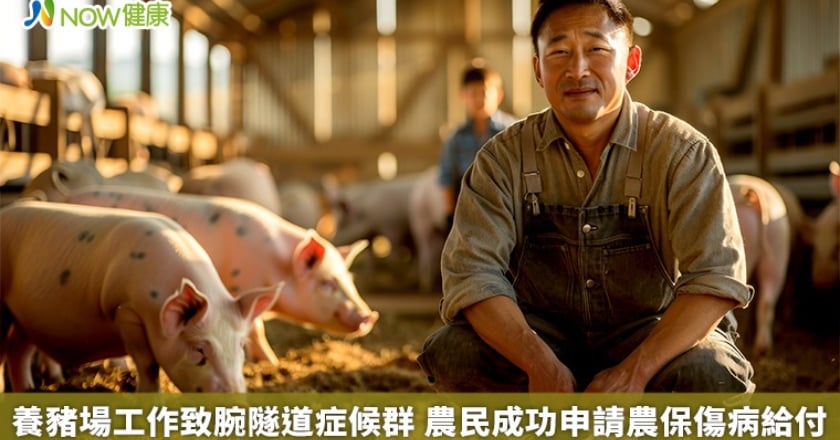 養豬場工作致腕隧道症候群 農民成功申請農保傷病給付