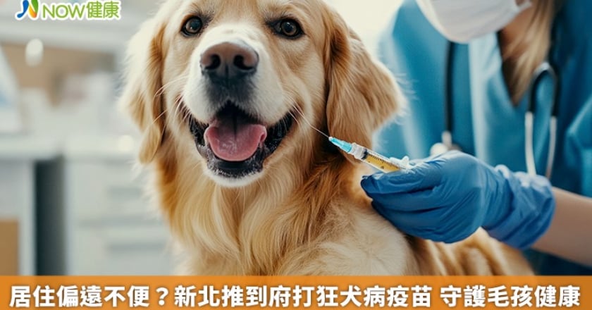 居住偏遠不便？新北推到府打狂犬病疫苗 守護毛孩健康