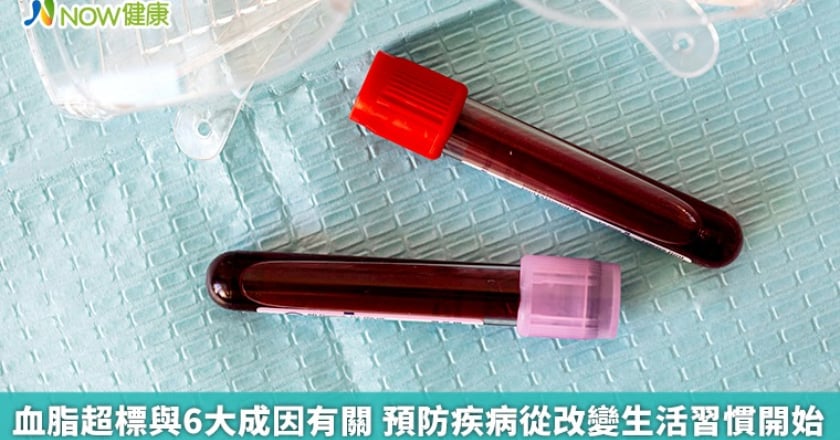 血脂超標與6大成因有關 預防疾病從改變生活習慣開始