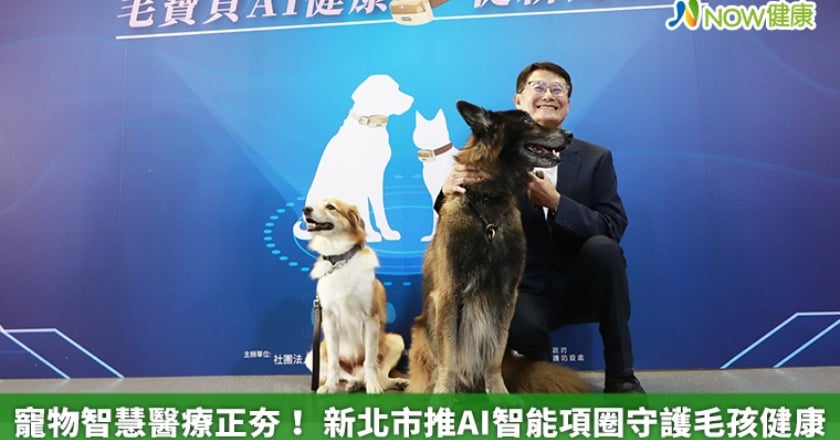 寵物智慧醫療正夯！ 新北市推AI智能項圈守護毛孩健康