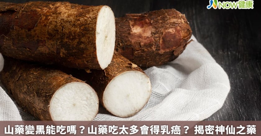 山藥變黑能吃嗎？山藥吃太多會得乳癌？ 揭密神仙之藥