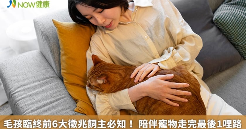 毛孩臨終前6大徵兆飼主必知！ 陪伴寵物走完最後1哩路