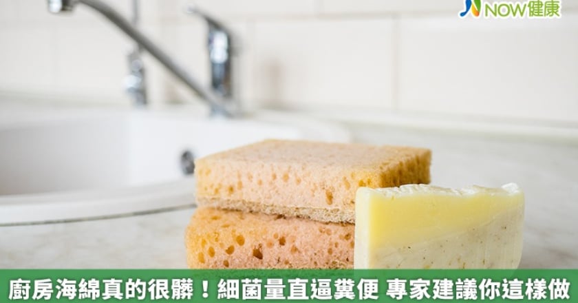 廚房海綿真的很髒!細菌量直逼糞便 專家建議你這樣做