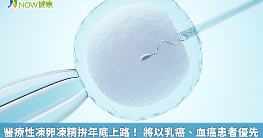 醫療性凍卵凍精拚年底上路！ 將以乳癌、血癌患者優先